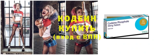прущие грибы Кодинск