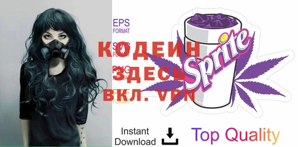 прущие грибы Кодинск