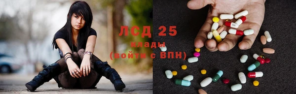 прущие грибы Кодинск