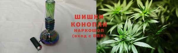 стафф Коряжма