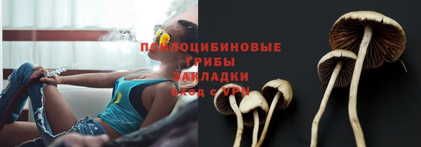 прущие грибы Кодинск