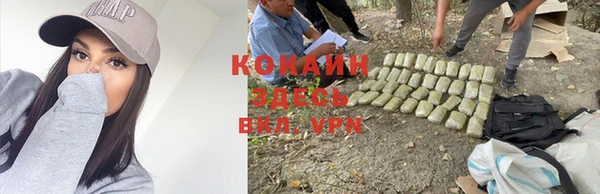 прущие грибы Кодинск