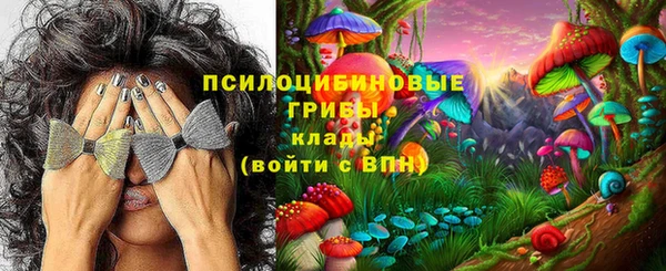 стафф Коряжма