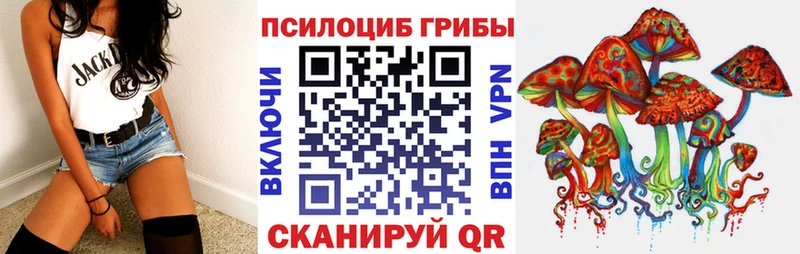KRAKEN сайт  где купить наркоту  Кировград  Псилоцибиновые грибы мицелий 